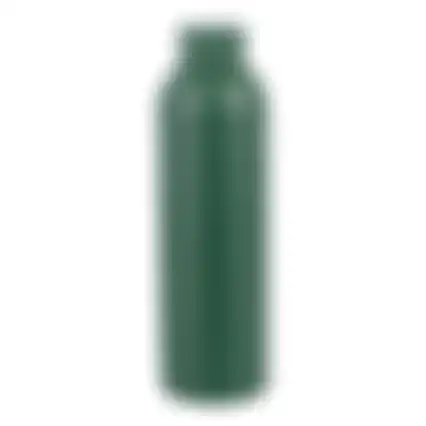 Drinkfles 600ml assorti Alpina