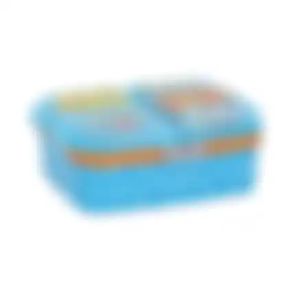 Lunchbox multi Pokemon