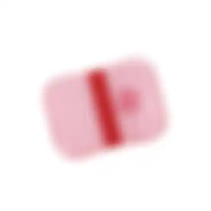 Brooddoos glitter pink