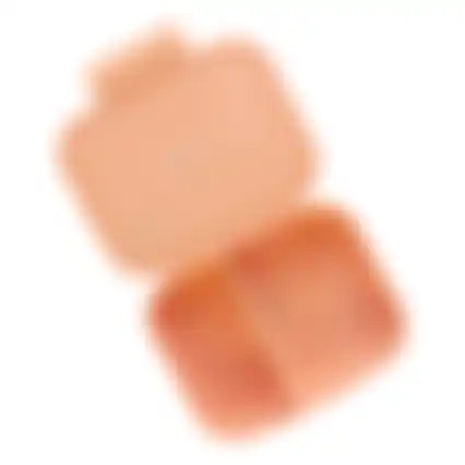 Brooddoos tastebox nordic peach