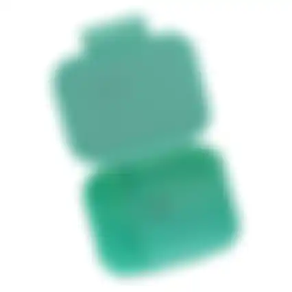 Brooddoos Rainbow green blue