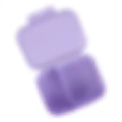Brooddoos Rainbow purple pink