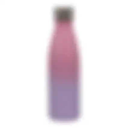 Waterfles RVS Rainbow purple pink