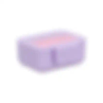 Koekendoos Rainbow purple pink