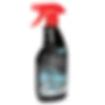Reiniger glas 500ml Dunlop