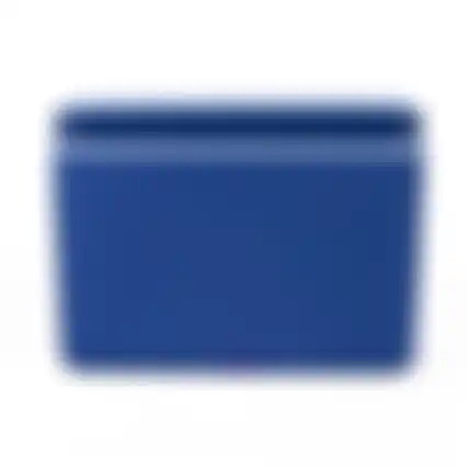 Koelbox 12L blauw