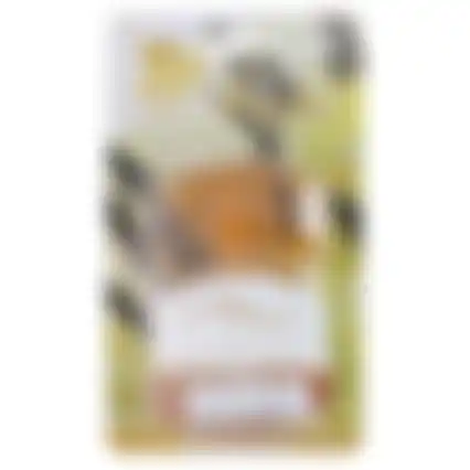 Toiletreiniger 2x50ml asst Active Air