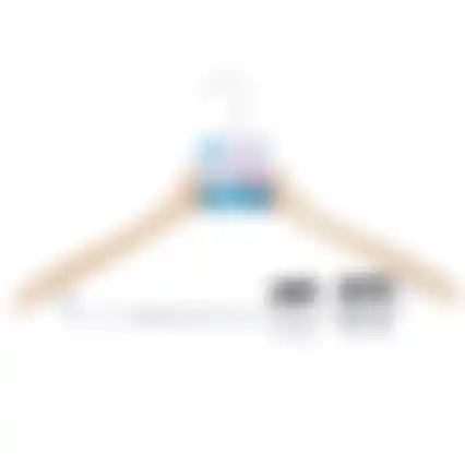 Kleerhanger 2st