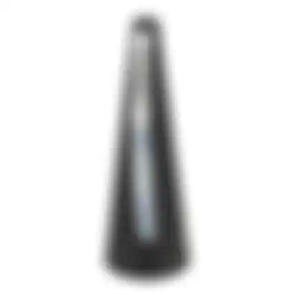 Vliegenverjager 26cm zwart BG