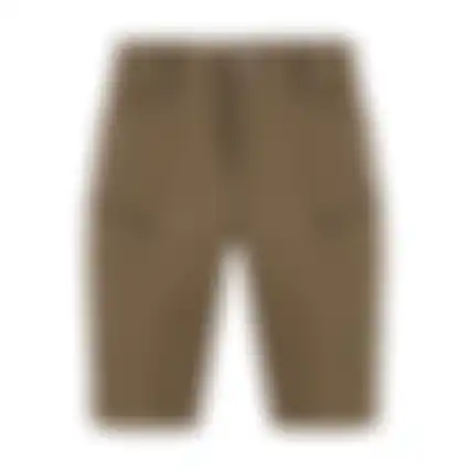 Werkshort Anaheim Groen