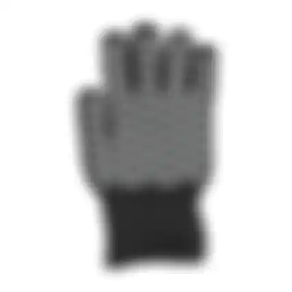 Handschoen barbecue