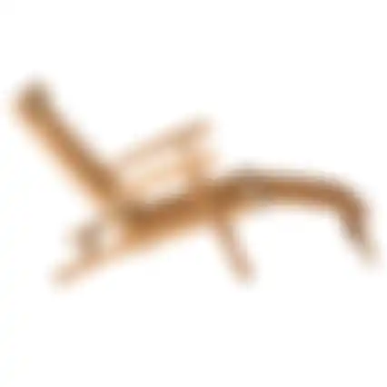 Deckchair Dessy Bois le Duc