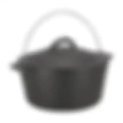 Pan+deksel gietijzer D27cm Nice Cooker