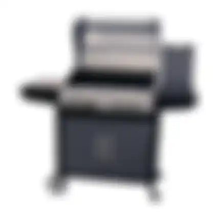 Barbecue Gas Charlotte Nice Cooker