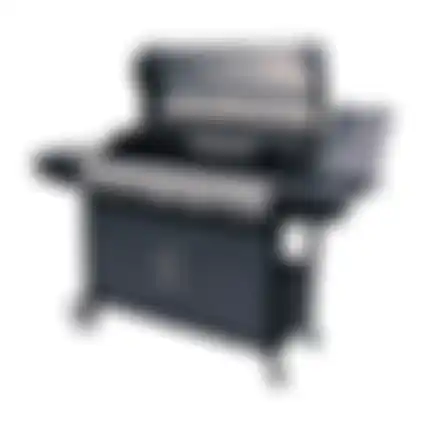 BBQ gas Mississippi Nice Cooker