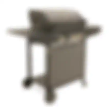 Bbq gas Ogden Nice Cooker