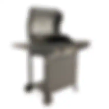 Bbq gas Ogden Nice Cooker