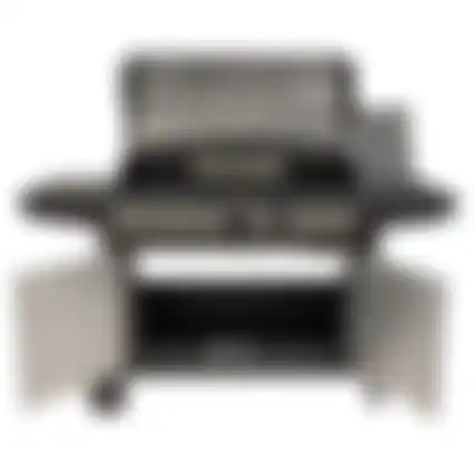 Bbq gas Beaverton Nice Cooker
