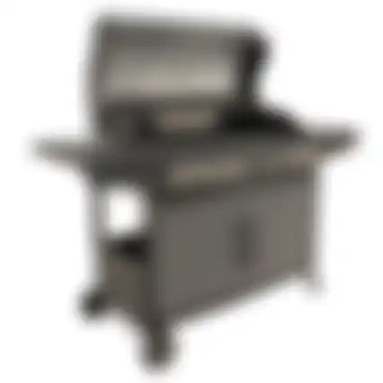Bbq gas Beaverton Nice Cooker