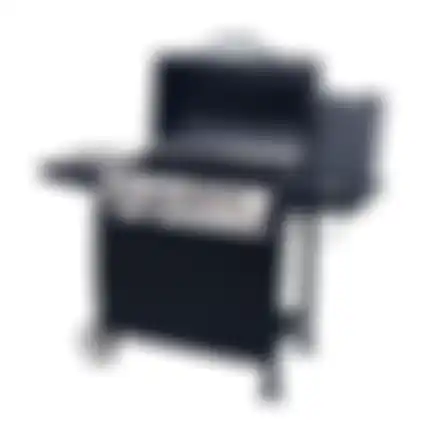 BBQ Gas Arizona Nice Cooker