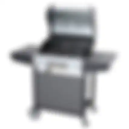 Bbq gas Virginia Nice Cooker