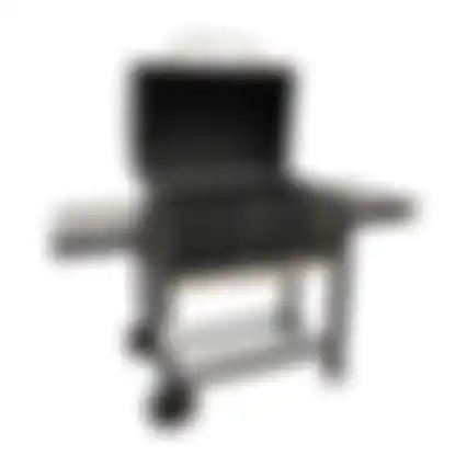 Barbecue houtskool Brentwood Nice Cooker