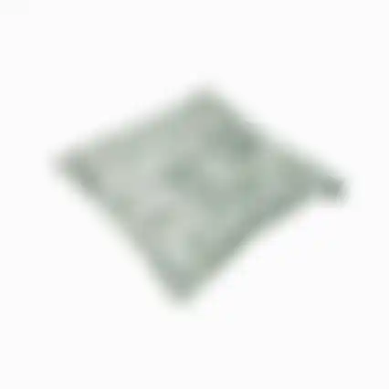 Palma natural O290 50x50 pillow