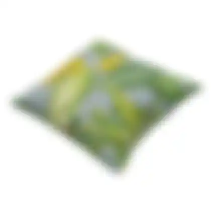 Out La grave grey O256 50x50 pillow