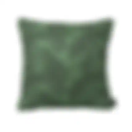 Ruiz green C035 50x50 pillow pp
