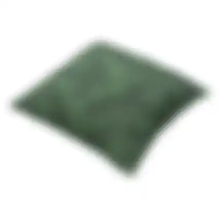 Ruiz green C035 50x50 pillow pp