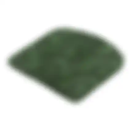 Ruiz green zitkussen 46x48