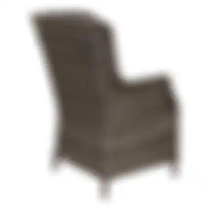Stoel Venini Willow Grey Bois le Duc
