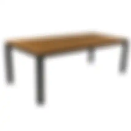 Tafel Primavera 220x100cm zwart