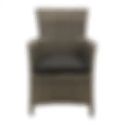 Stoel Kinder Cinca Willow Grey Bois le Duc