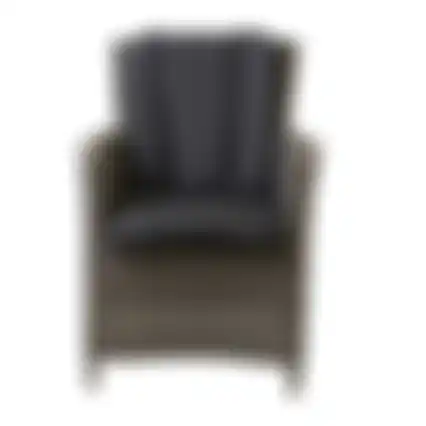 Stoel Sesto Willow Grey Bois le Duc