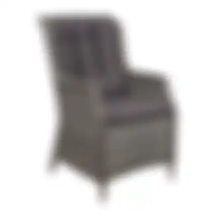 Stoel Manuli willow grey + kussens