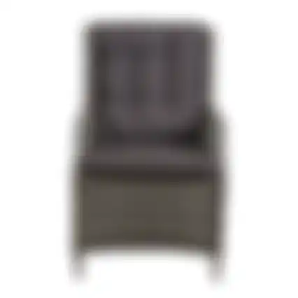 Stoel Manuli willow grey + kussens