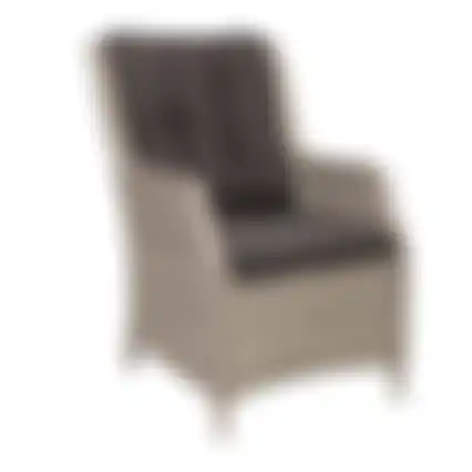 Stoel Manuli white grey met kussen