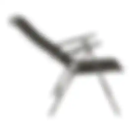 Stoel standen Larus Antraciet Bois le Duc