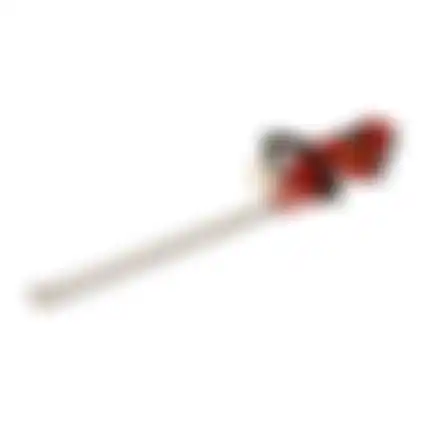 Heggenschaar accu ATR01 2x20V HVC