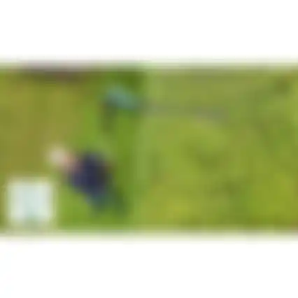 Heggenschaar UniversalHedgePole 18 BareTool