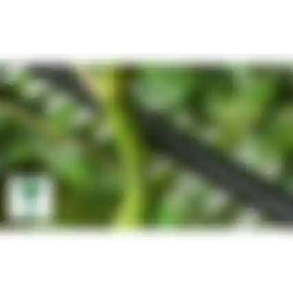 Heggenschaar UniversalHedgePole 18 BareTool