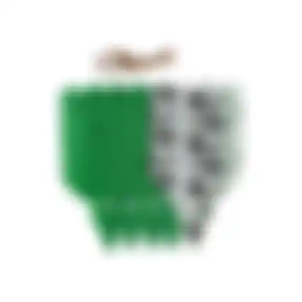 Feromoonval buxusmot 5St Solabiol