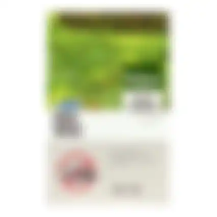 Mos weg 100M2 Pokon