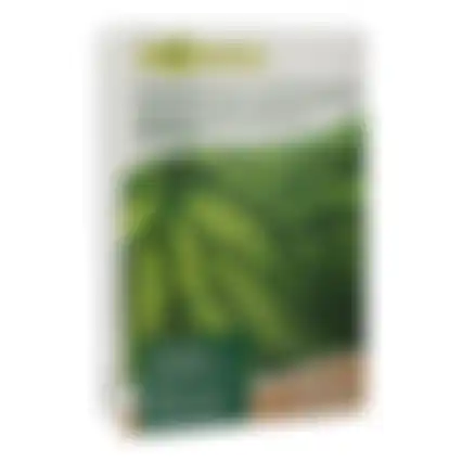 Graszaad schaduwgazon 2500gr VC