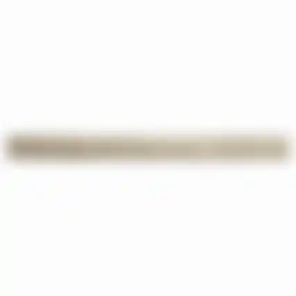 Bouwfolie rol 2x50m T100 transparant