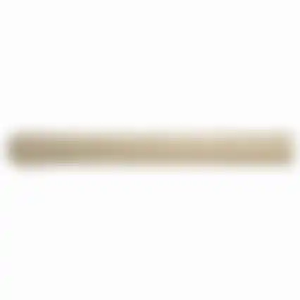 Bouwfolie rol 4X50m T100 transparant