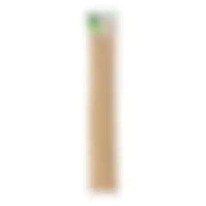 Plantenstok bamboe 45cm 20st Bel Garden