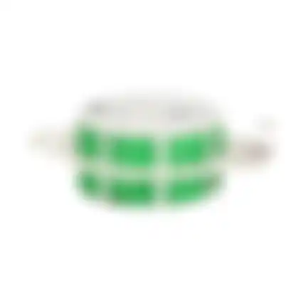 Binddraad groen + houder 100m Bel Garden