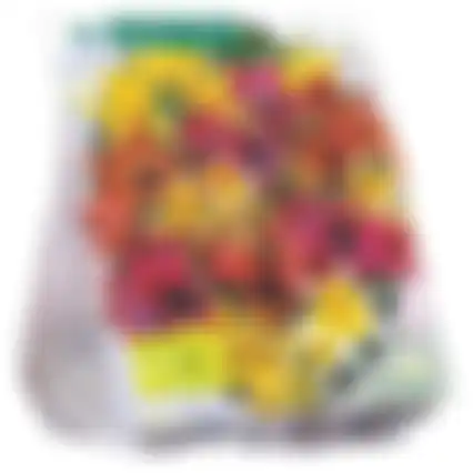 Tulipa Specie mix per 40